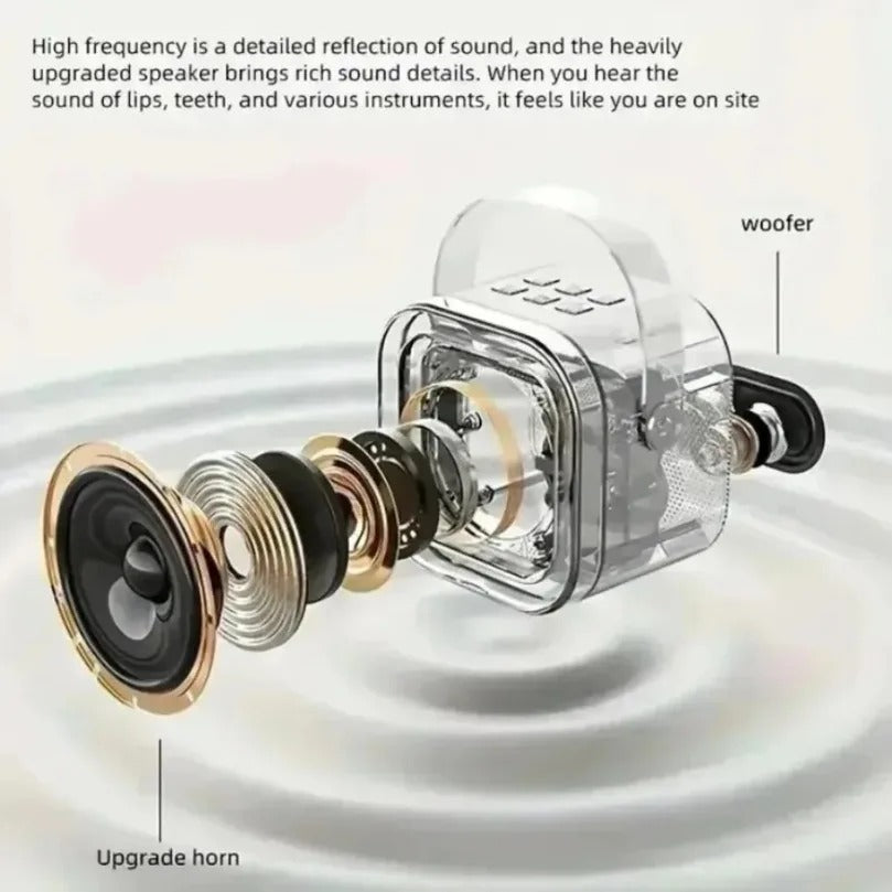 Portable Bluetooth 5.3 Speaker Karaoke Machine PA System with 2 Wireless Microphones