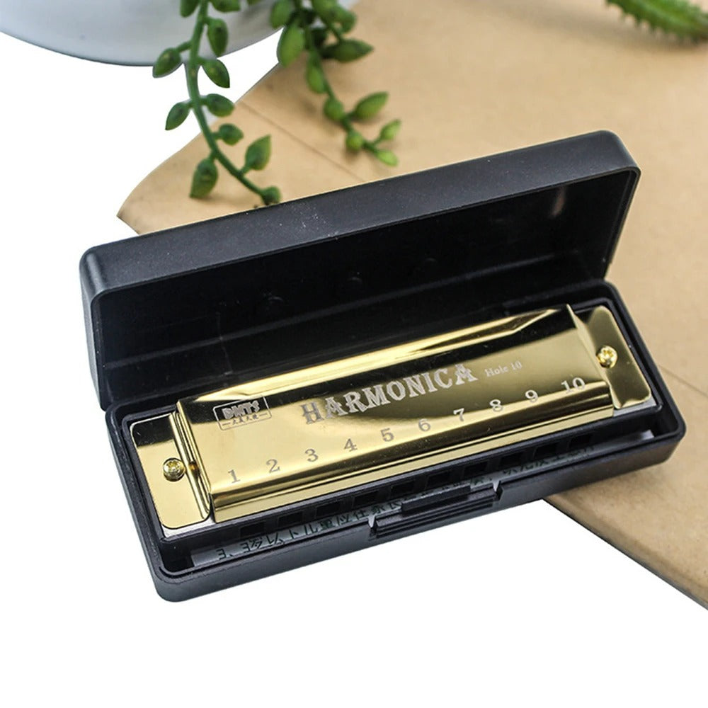 Harmonica Key of C  with Case for Beginner Gift with Case
